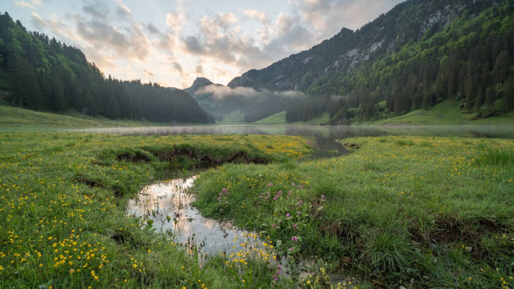 Nebel über einem Bergsee mit blühender Wiese im Morgenlicht – Sinnbild für eine Auszeit in der Natur